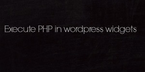 Execute PHP Code in WordPress Widget by Anil Kumar Panigrahi